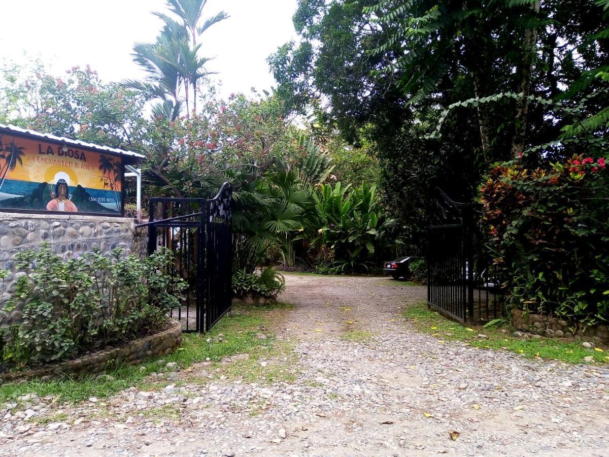 Hotel La Diosa Cahuita Exterior photo